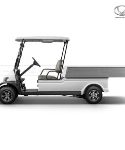 Xe điện VNECAR A1S4+2H