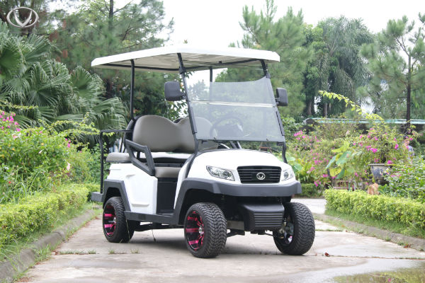 Xe oto điện thành phố Hồ Chí Minh