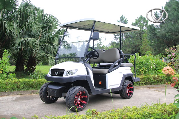 Xe điện sân golf giá rẻ