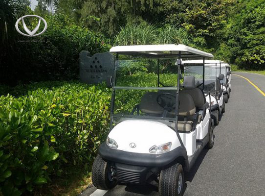 Điểm danh những dòng xe điện 4 bánh của VN Electric Car phù hợp với khu resort