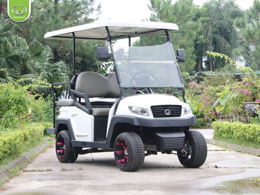 Mua xe điện sân golf Tùng Lâm 2021, nhận ngay mức giá ưu đãi