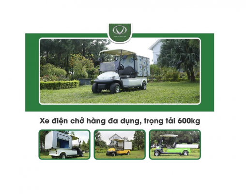 Xe điện chở hàng đa dụng, trọng tải 600kg