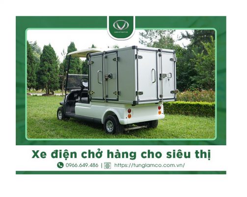 Xe điện chở hàng