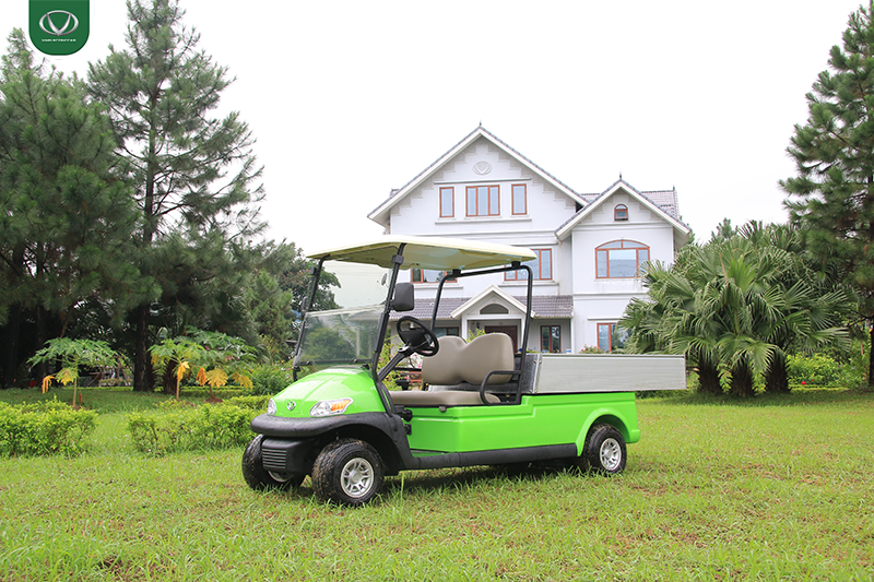 Xe điện chở hàng mini