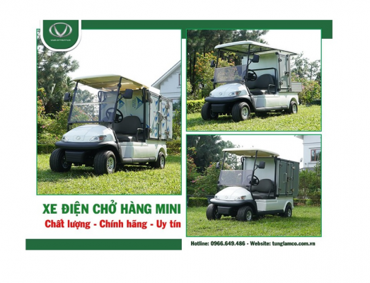 Xe điện chở hàng mini