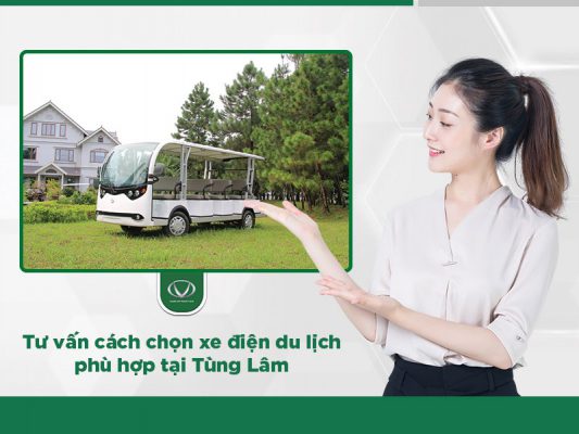 Tư vấn cách chọn xe điện du lịch phù hợp