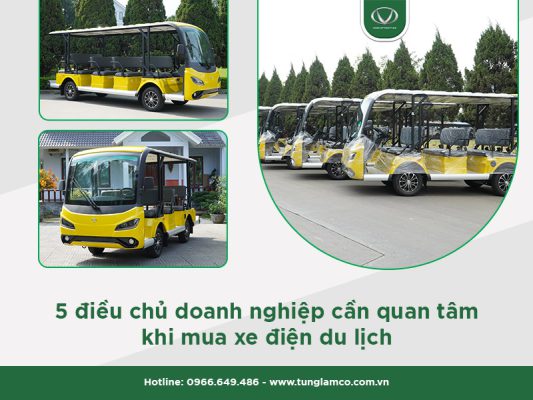5 điều chủ doanh nghiệp cần quan tâm khi mua xe điện du lịch