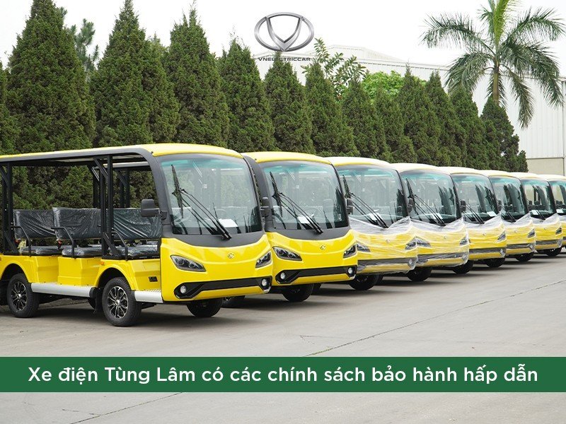 Xe điện du lịch 14 chỗ - bắt kịp xu hướng phát triển du lịch xanh