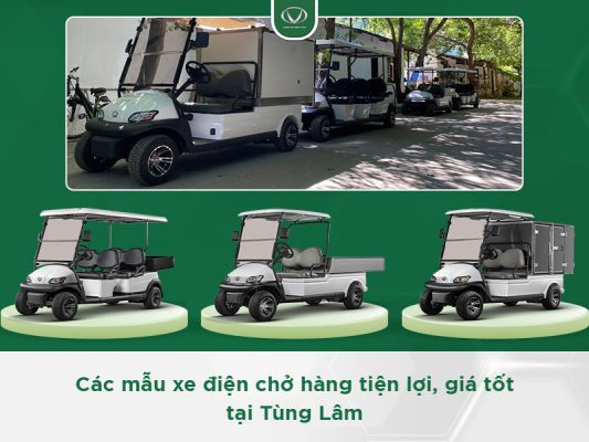 Các mẫu xe điện chở hàng tiện lợi, giá tốt tại Tùng Lâm