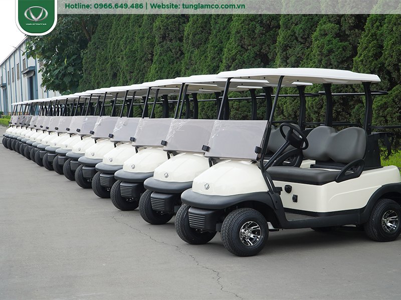 Giá xe điện sân golf: Những điều cần biết trước khi mua