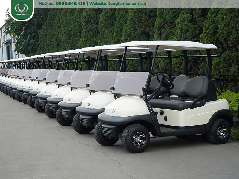 Giá xe điện sân golf 2 chỗ