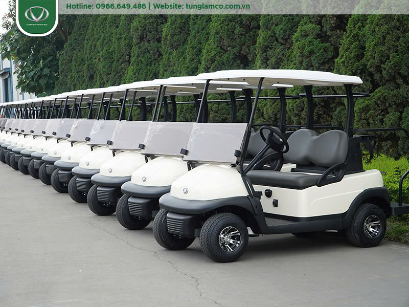 Xe điện sân golf: Từ xu hướng đến tiêu chí đánh giá sân golf đẳng cấp