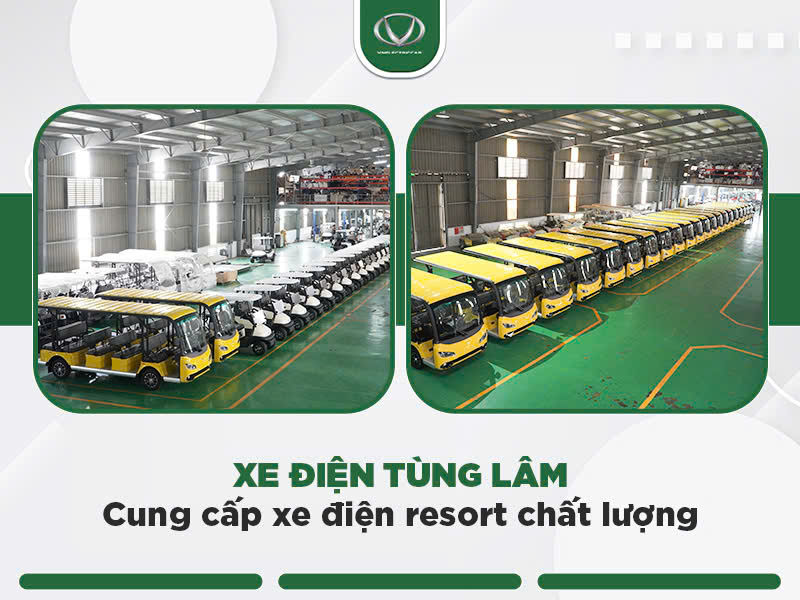 Làm thế nào để lựa chọn xe điện phù hợp nhất cho resort của bạn?