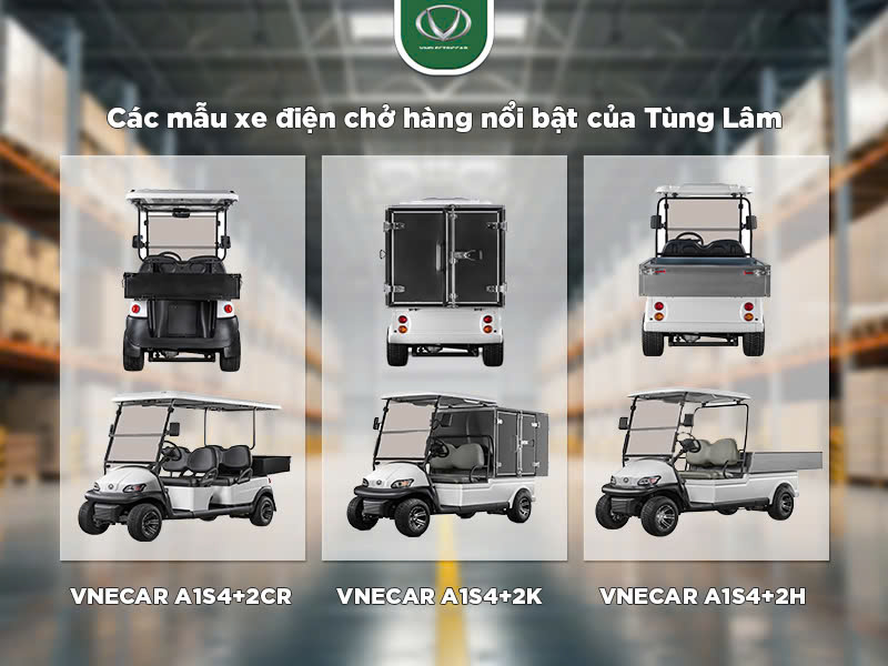 Mua xe điện chở hàng Tùng Lâm