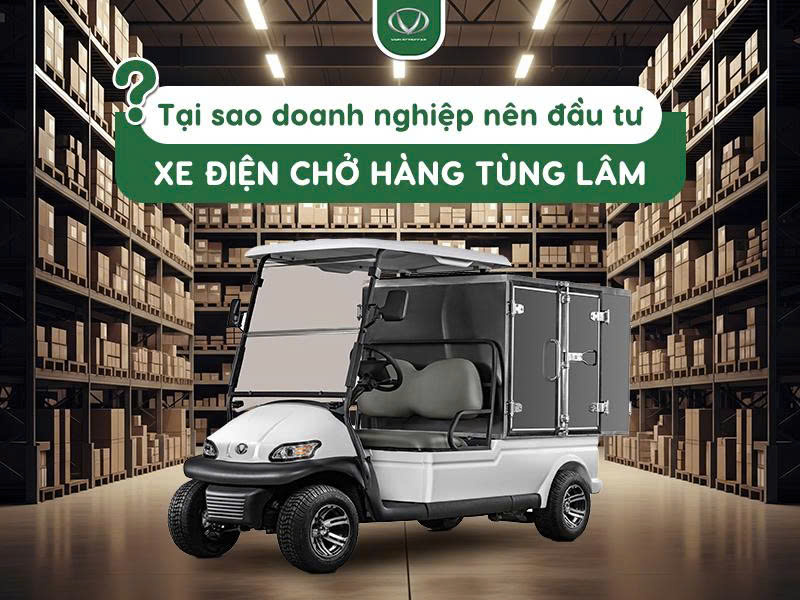 Tại sao doanh nghiệp của bạn nên đầu tư xe điện chở hàng Tùng Lâm?