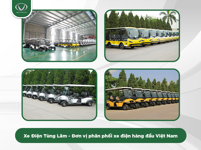 Mua xe điện du lịch ở đâu