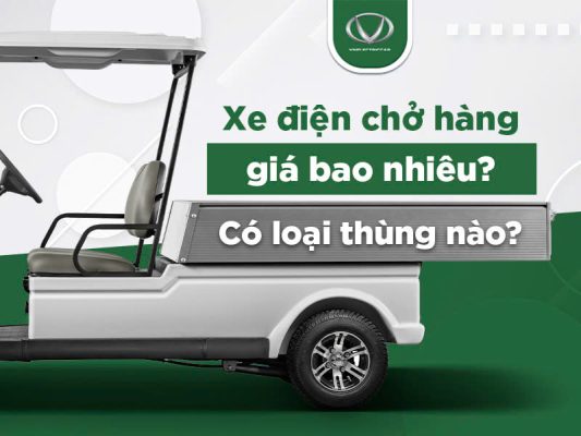 Xe điện chở hàng giá bao nhiêu? Có những loại thùng nào phù hợp cho doanh nghiệp?