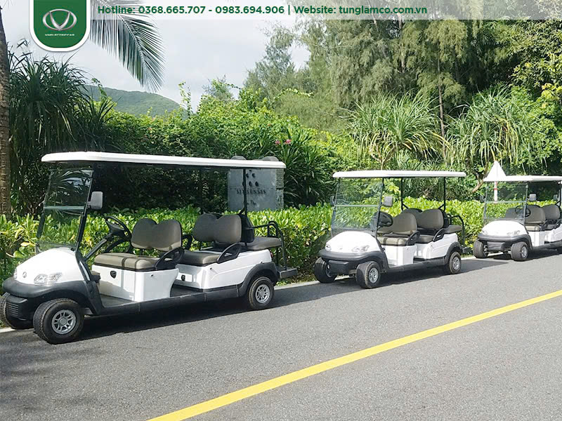 Xe Điện Tùng Lâm