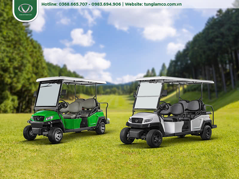 VNECAR S4+2D và VNECAR M1S4+2