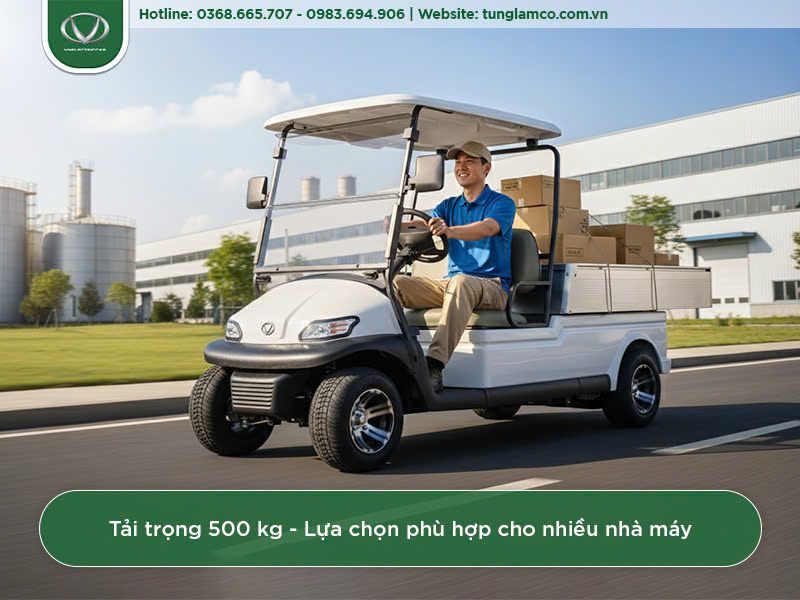 Tải trọng 500kg - Lựa chọn phù hợp cho nhiều nhà máy