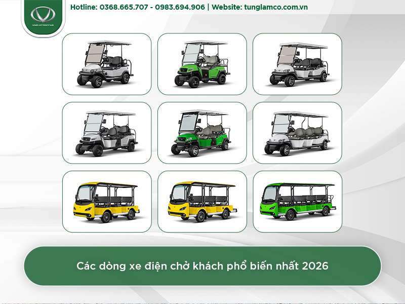 Đa dạng mẫu xe điện chở khách du lịch tại Tùng Lâm