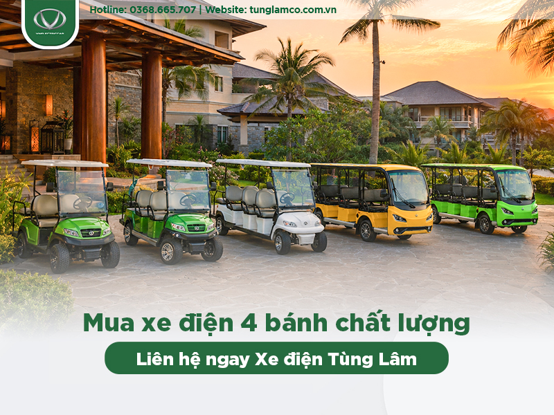 mua xe điện 4 bánh
