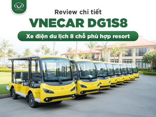 VNECAR DG1S8