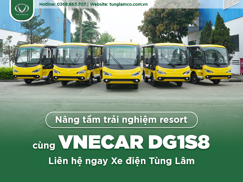 VNECAR DG1S8