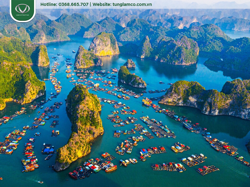 Nhu cầu đầu tư xe điện nội khu ngày càng tăng tại các điểm du lịch trọng điểm